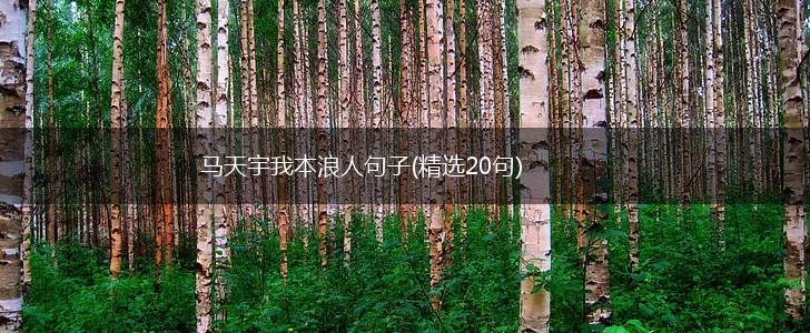 马天宇我本浪人句子(精选20句),第1张