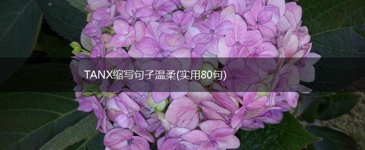 TANX缩写句子温柔(实用80句),第1张