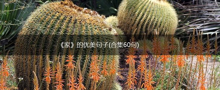 《家》的优美句子(合集60句),第1张