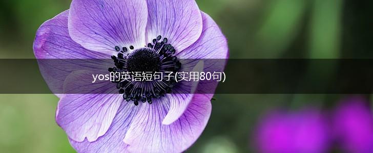 yos的英语短句子(实用80句),第1张