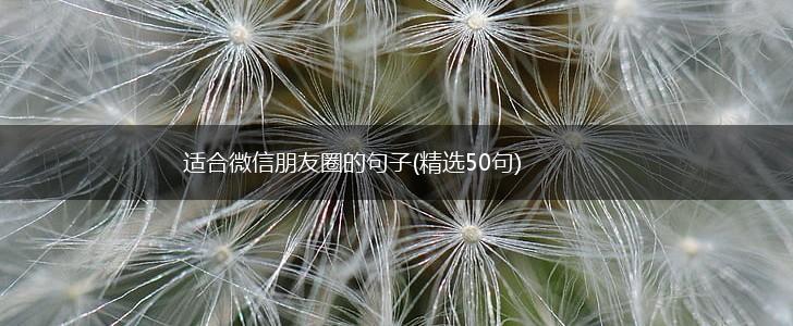 适合微信朋友圈的句子(精选50句),第1张