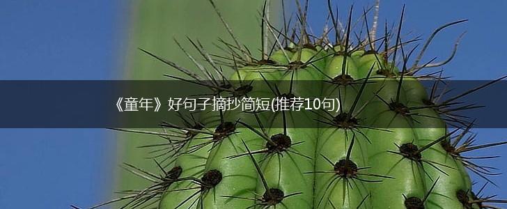 《童年》好句子摘抄简短(推荐10句),第1张