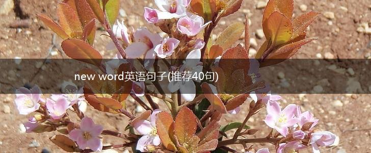 new word英语句子(推荐40句),第1张