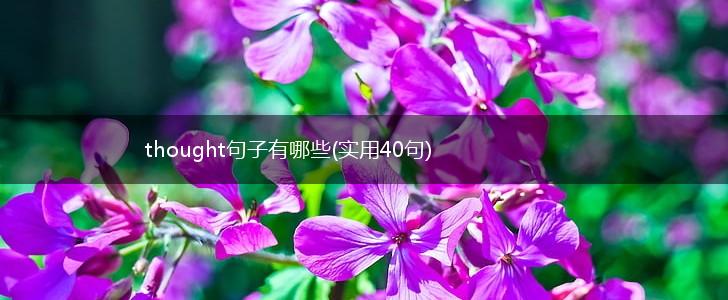 thought句子有哪些(实用40句),第1张