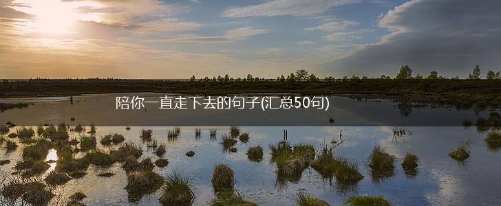 陪你一直走下去的句子(汇总50句),第1张