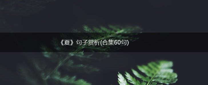 《夏》句子赏析(合集60句),第1张