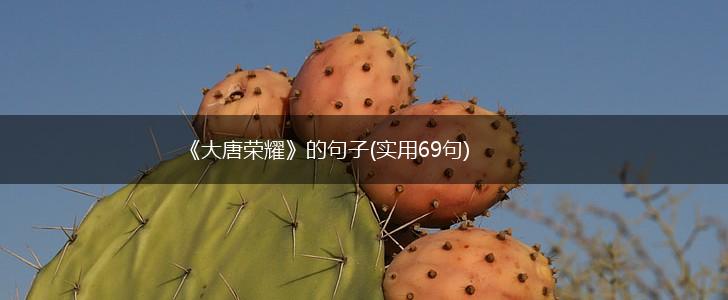 《大唐荣耀》的句子(实用69句),第1张
