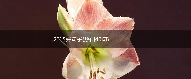 2015好句子(热门40句),第1张