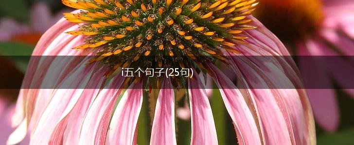 i五个句子(25句),第1张