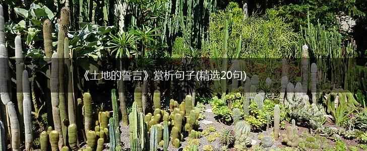 《土地的誓言》赏析句子(精选20句),第1张