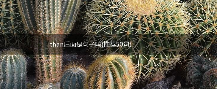 than后面是句子吗(推荐50句),第1张