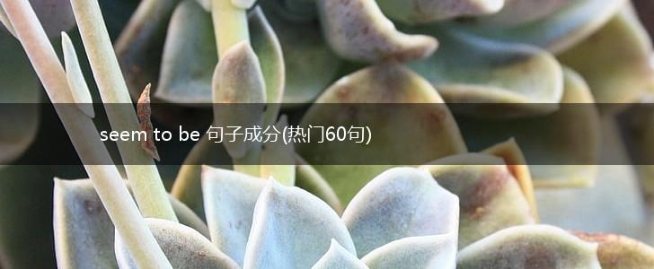 seem to be 句子成分(热门60句),第1张