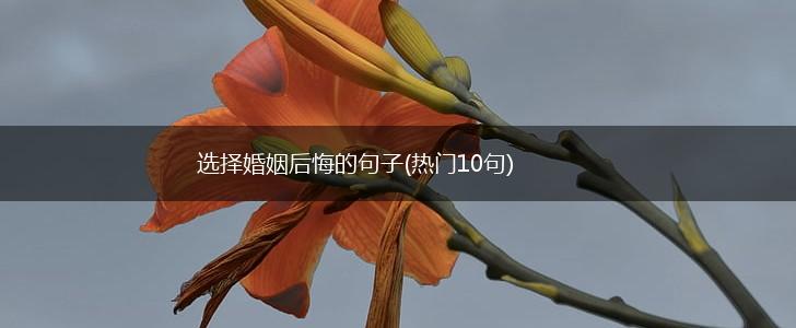 选择婚姻后悔的句子(热门10句),第1张