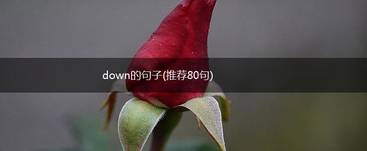 down的句子(推荐80句),第1张