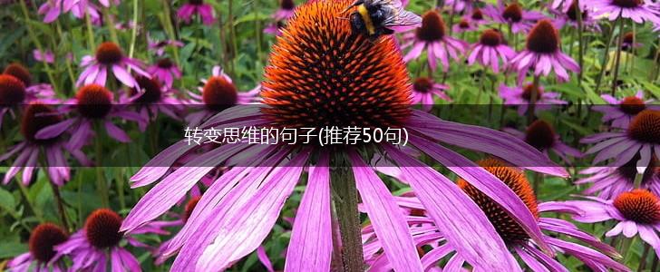 转变思维的句子(推荐50句),第1张