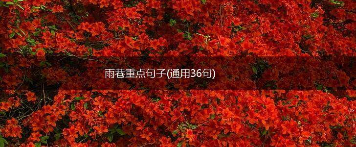 雨巷重点句子(通用36句),第1张