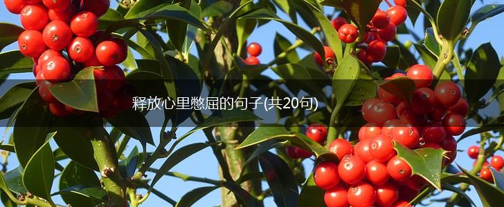 释放心里憋屈的句子(共20句),第1张