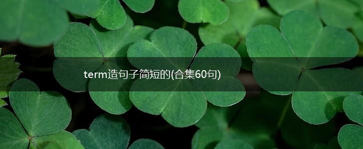 term造句子简短的(合集60句),第1张