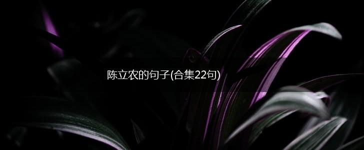 陈立农的句子(合集22句),第1张