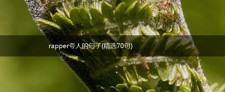 rapper夸人的句子(精选70句),第1张