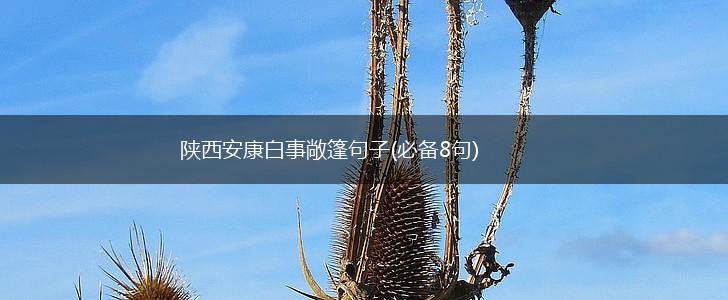 陕西安康白事敞篷句子(必备8句),第1张
