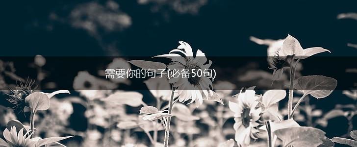 需要你的句子(必备50句),第1张