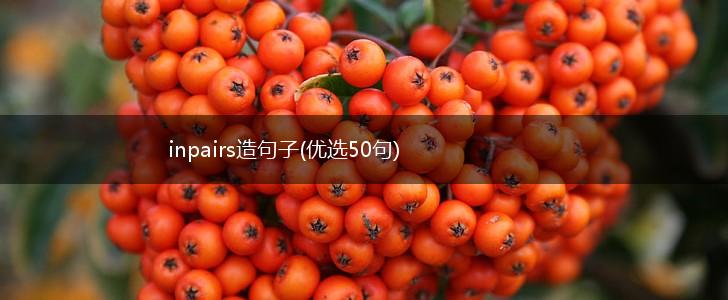 inpairs造句子(优选50句),第1张