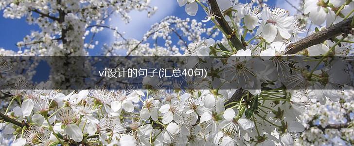 vi设计的句子(汇总40句),第1张