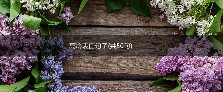 高冷表白句子(共50句),第1张