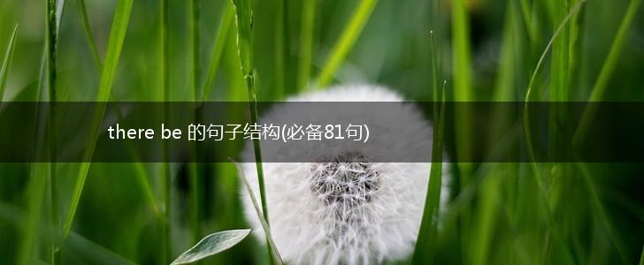 there be 的句子结构(必备81句),第1张