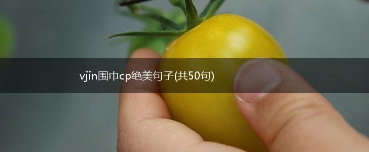 vjin围巾cp绝美句子(共50句),第1张