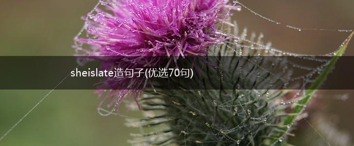 sheislate造句子(优选70句),第1张