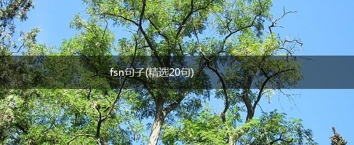 fsn句子(精选20句),第1张