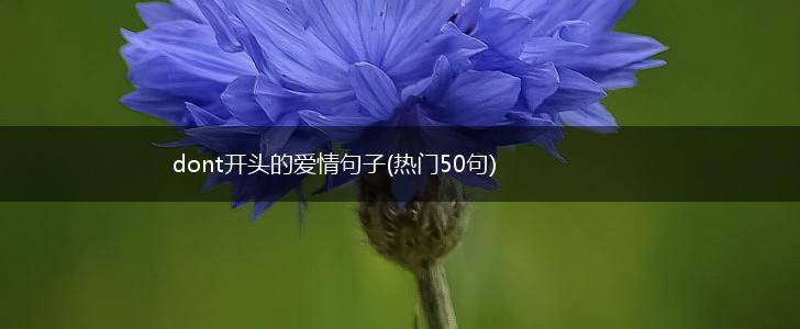 dont开头的爱情句子(热门50句),第1张