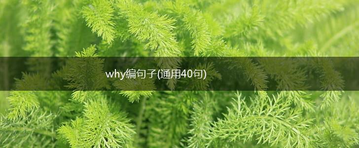 why编句子(通用40句),第1张
