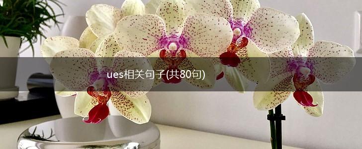 ues相关句子(共80句),第1张