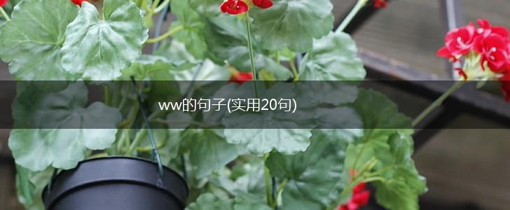 ww的句子(实用20句),第1张