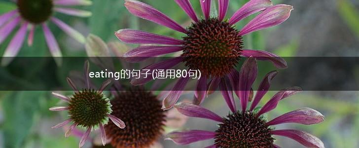 eating的句子(通用80句),第1张