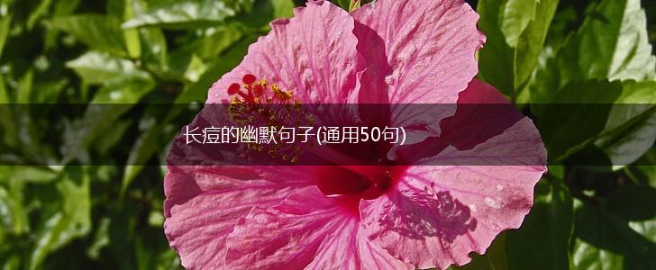 长痘的幽默句子(通用50句),第1张