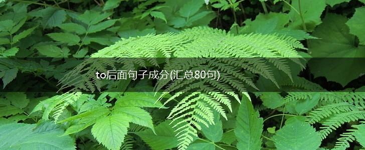 to后面句子成分(汇总80句),第1张