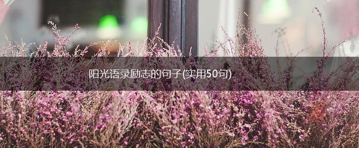 阳光语录励志的句子(实用50句),第1张