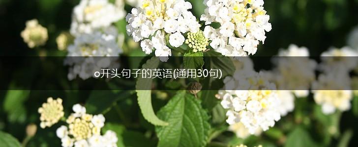 o开头句子的英语(通用30句),第1张