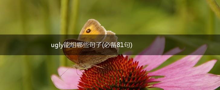 ugly能组哪些句子(必备81句),第1张