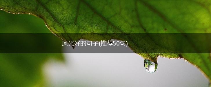 风光好的句子(推荐50句),第1张