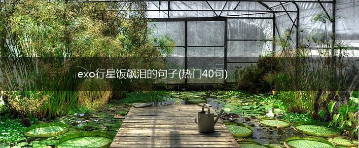 exo行星饭飙泪的句子(热门40句),第1张