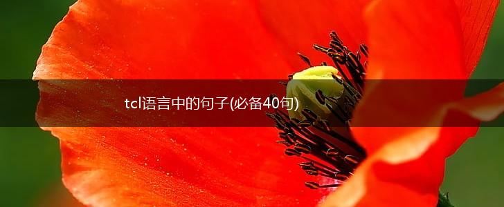 tcl语言中的句子(必备40句),第1张
