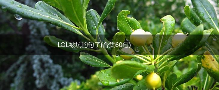 LOL被坑的句子(合集60句),第1张