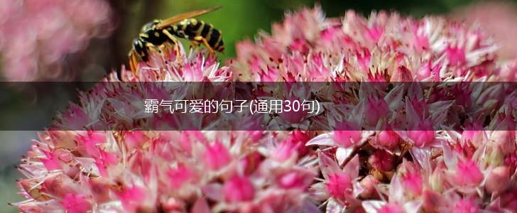 霸气可爱的句子(通用30句),第1张