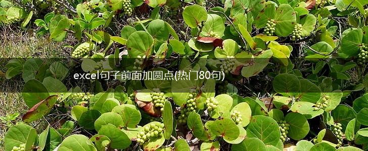 excel句子前面加圆点(热门80句),第1张