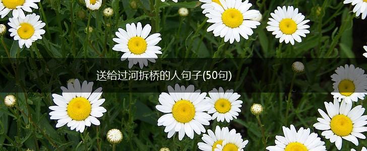 送给过河拆桥的人句子(50句),第1张